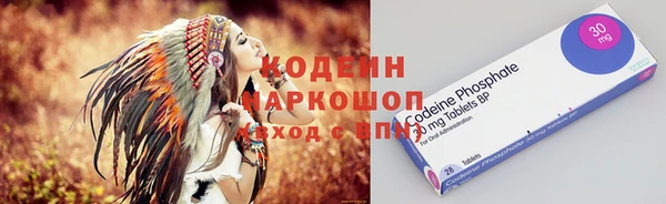 прущие грибы Абдулино