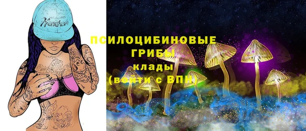 Альфа ПВП Россошь
