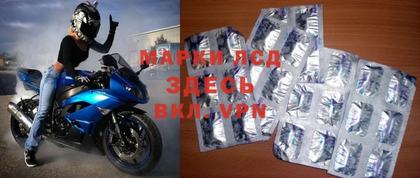 прущие грибы Абдулино