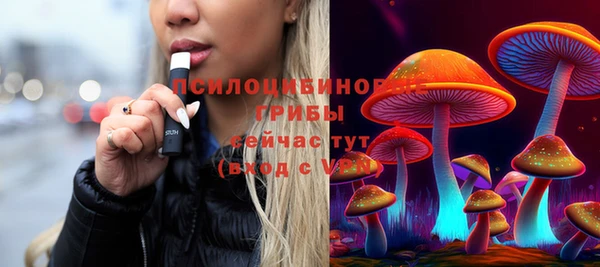 прущие грибы Абдулино
